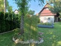 Fotka 41